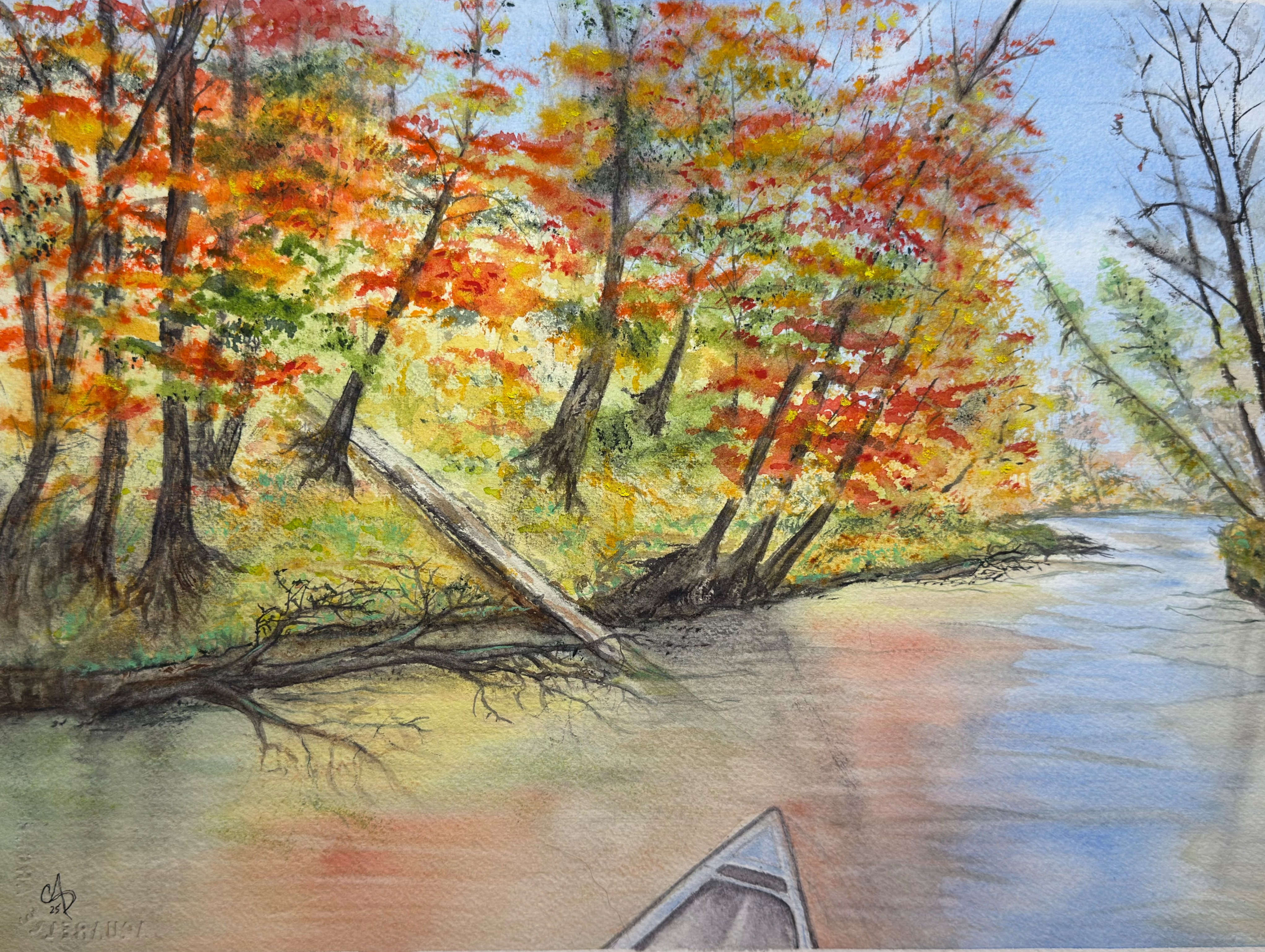 Autumn Palette