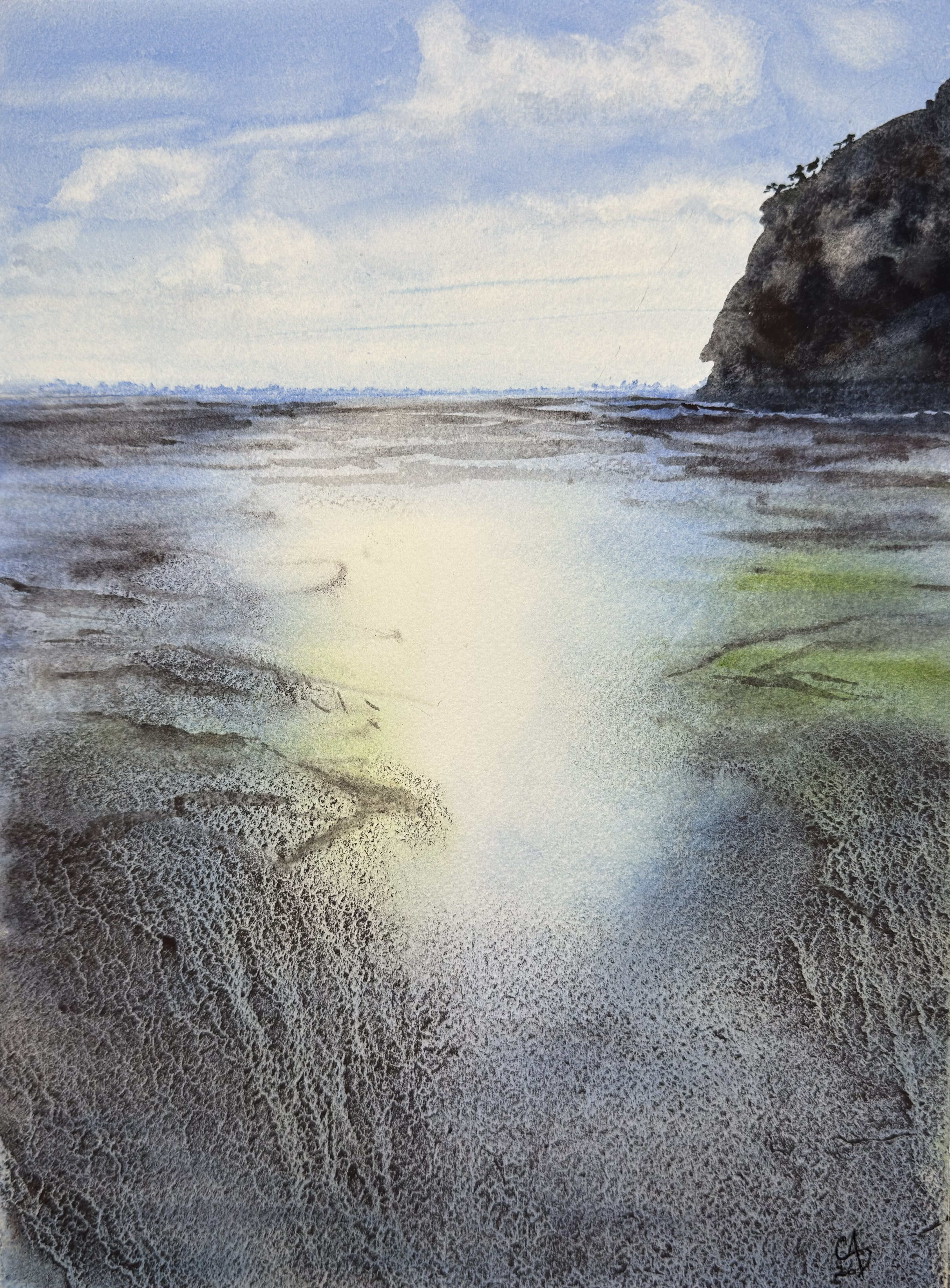 Wetland