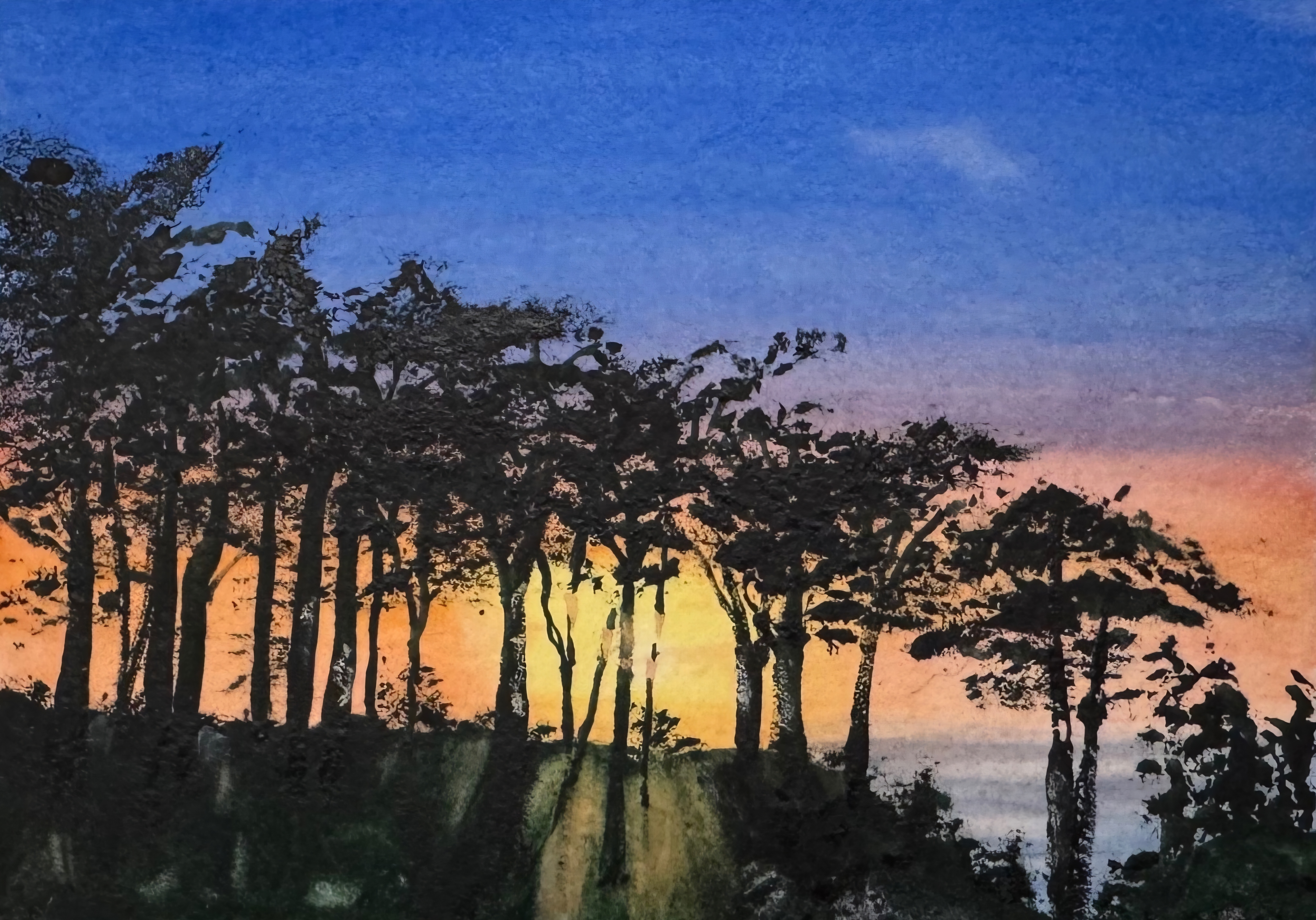 Aptos Sunset